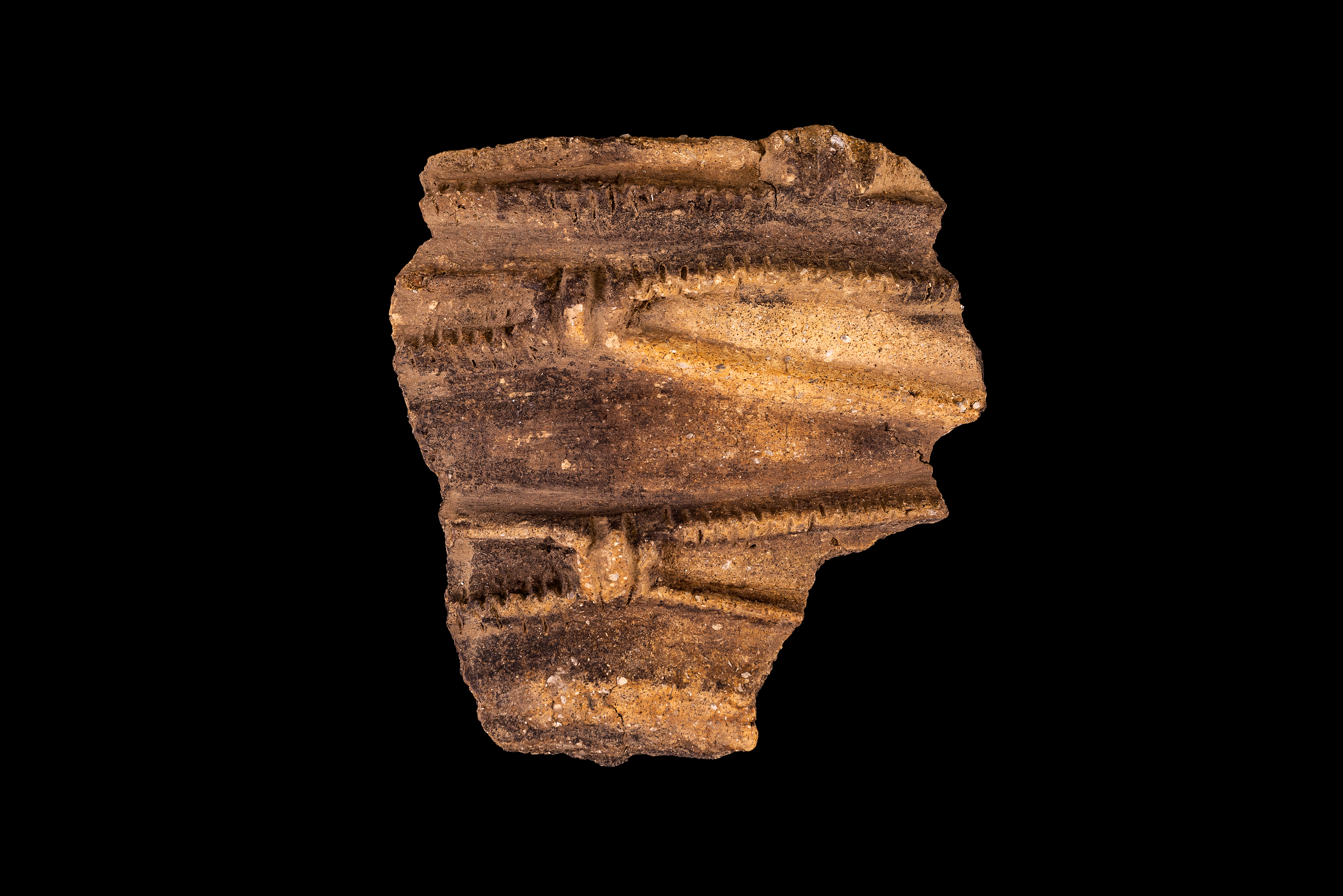 An interesting pottery shard discovered at the site.